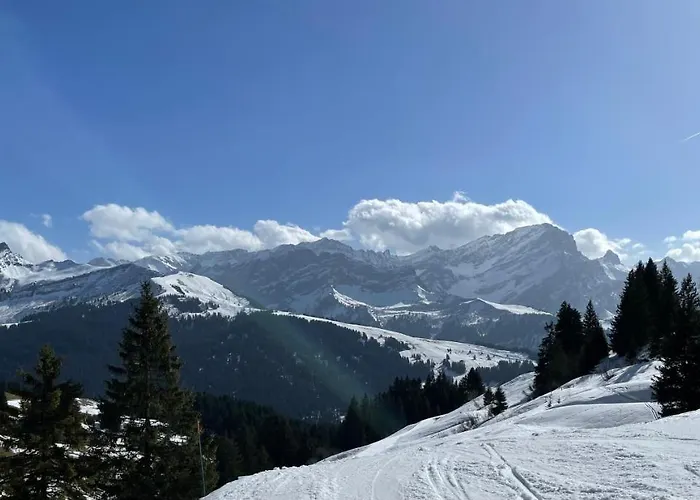 Apartment With Stunning View! Ski-In, Ski-Out