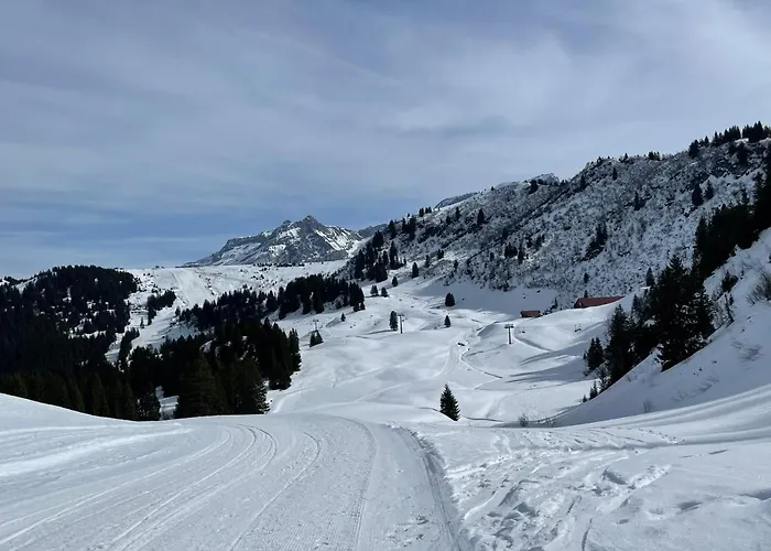 Apartment With Stunning View! Ski-In, Ski-Out