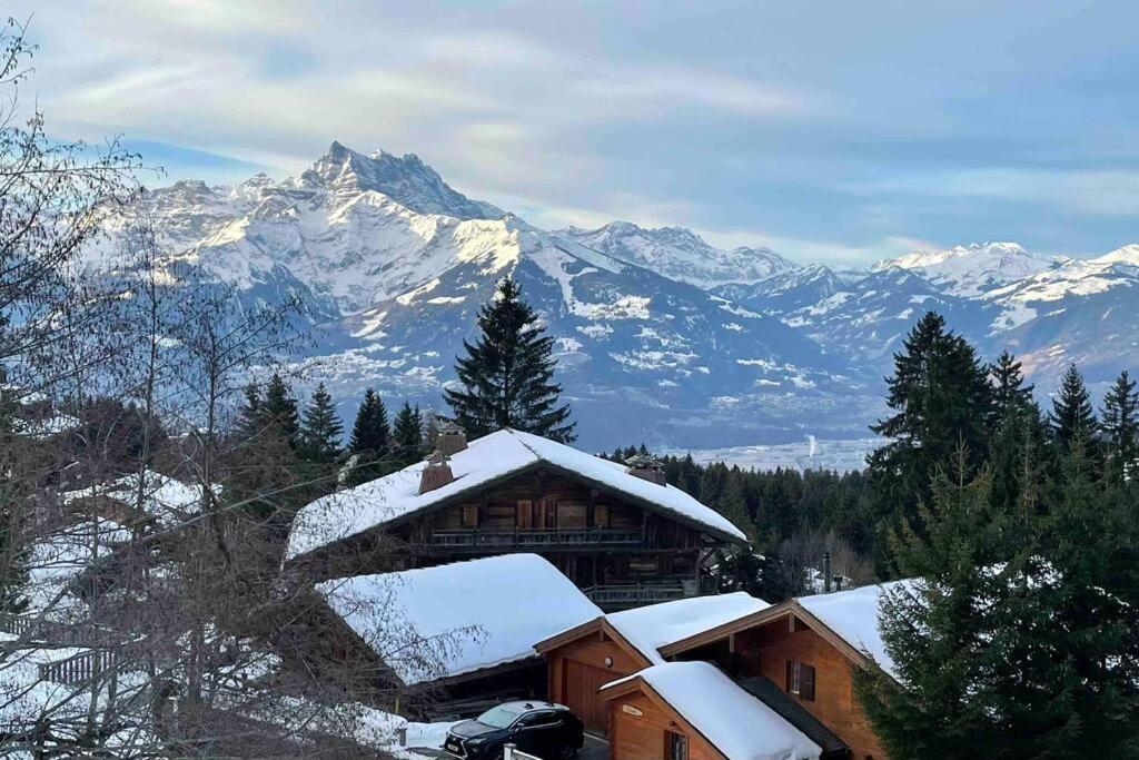 With Stunning View! Ski-in, Ski-out Apartment *
